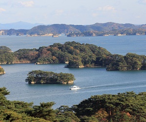 松島観光船